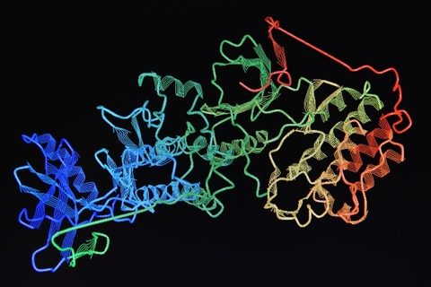 protein protein molecule