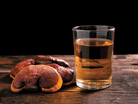 Reishi tea and dried lingzhi mushrooms Reishi tea and dried lingzhi mushrooms