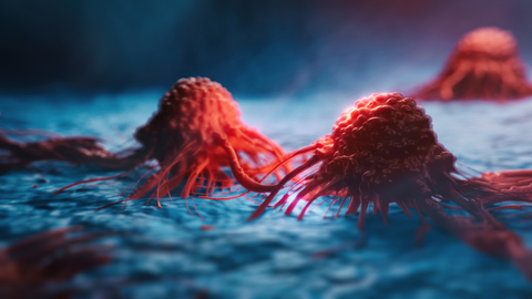 Cancer cells Cancer cells