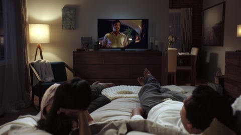 NetflixViewingTV Netflix watching