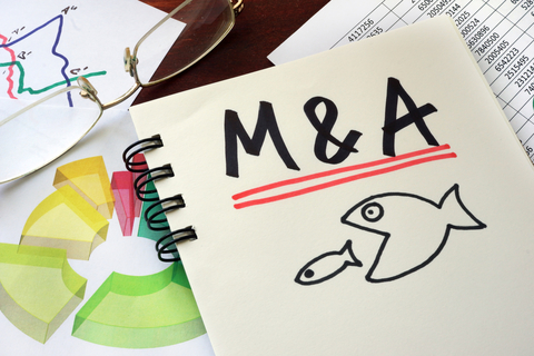 Merger Merger of Marriott and Starwood