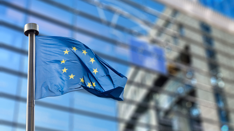 European Union Flag European Union Flag