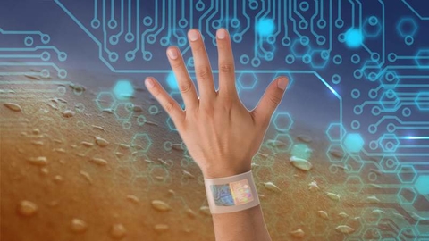 Research Solution Insights, the global biochemical sensor market will rise Research Solution Insights, the global biochemical sensor market will rise