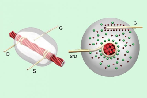 Tufts University develops thread-based transistors Tufts University develops thread-based transistors