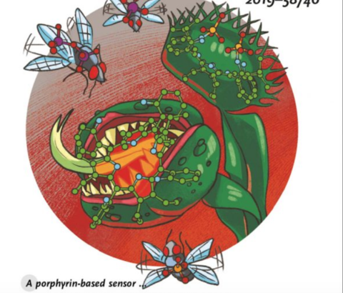 'Venus flytrap' bio-sensors capture pollutants 'Venus flytrap' bio-sensors capture pollutants