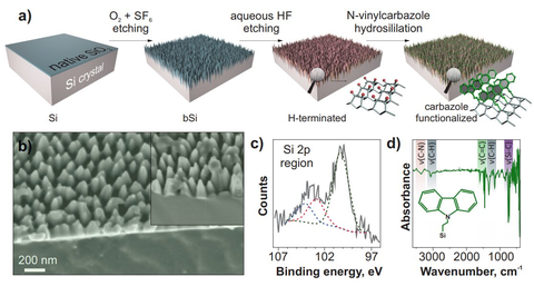 Sensor comprised of black silicon can detect explosives (a) Schematic illustration of the fabrication procedure. (b) Side-view SEM image.