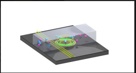 Chip-based sensor detects cancer biomarker in urine Chip-based sensor detects cancer biomarker in urine