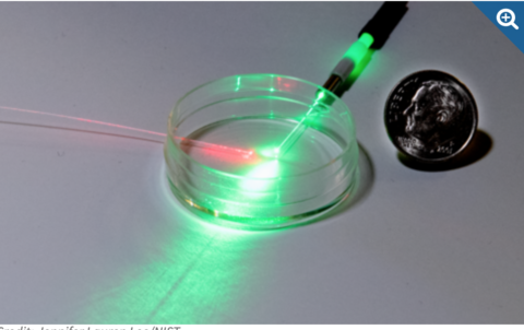 Photonic pH sensor could aid tissue regeneration Photonic pH sensor could aid tissue regeneration