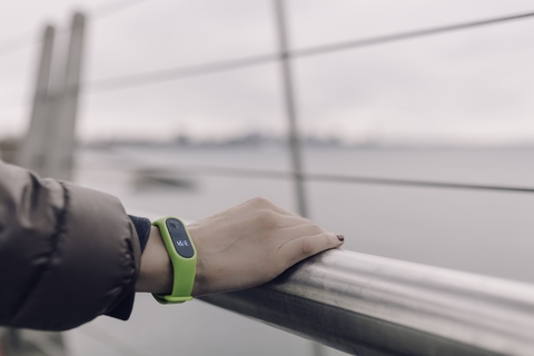 Fitbit Fitbit