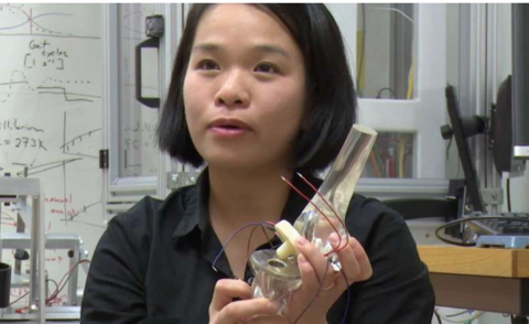 Dr. Quyen Do of the University of New South Wales Dr. Quyen Do of the University of New South Wales