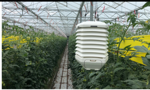 Autogrow develops wireless sensor for greenhouses Autogrow develops wireless sensor for greenhouses