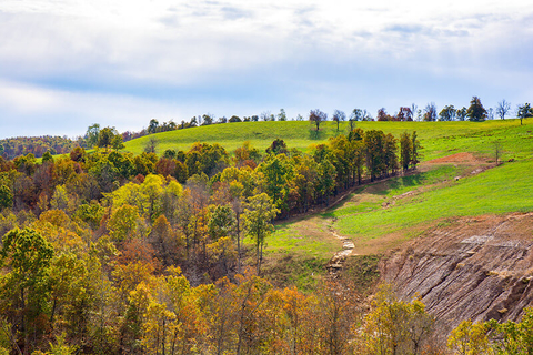 Ozark National Forest, Arkansas // Photo by Shutterstock/JB Manning Ozark National Forest, Arkansas