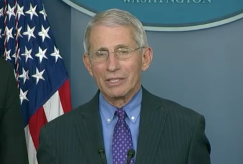 Anthony Fauci speaks at the White House on April 16, 2020