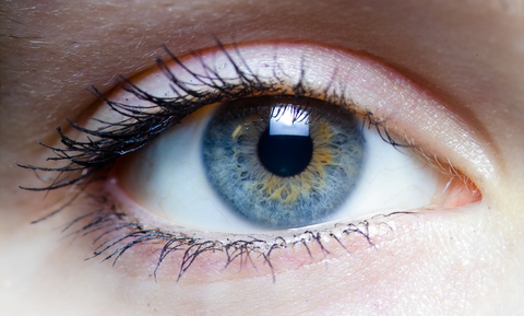 Eye (Image: Laitr Keiows / CC BY-SA 3.0) Eye