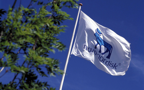 Novo Nordisk flag Novo Nordisk