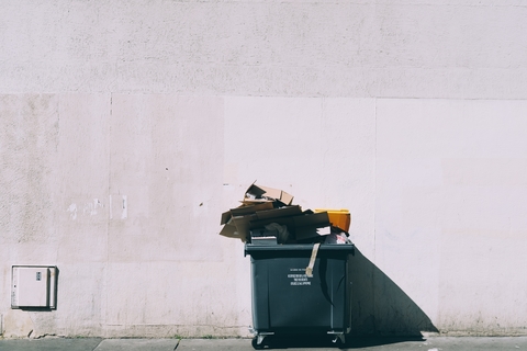 dumpster dumpster