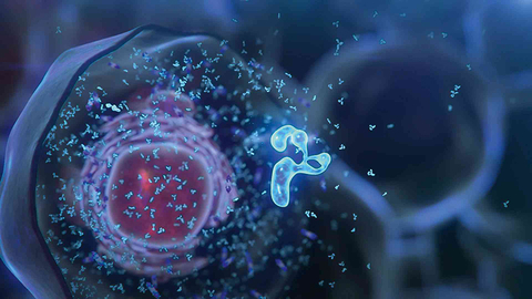 Amgen Oncology_Insight Amgen Oncology_Insight