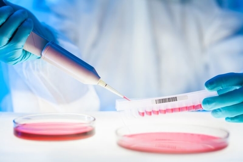 CellLine cell line