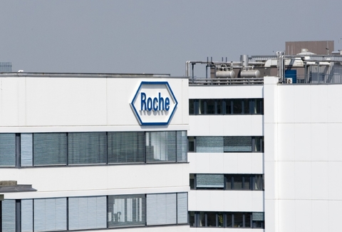Roche Roche