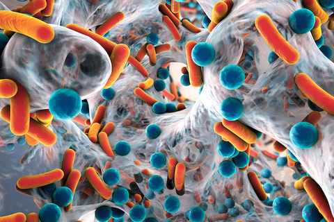 Antibiotic-resistant bacteria Antibiotic-resistant bacteria