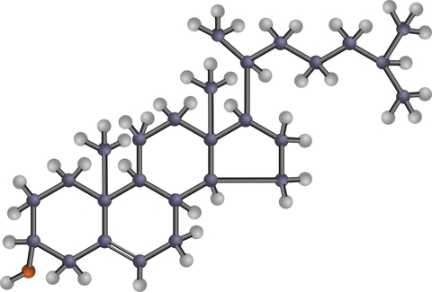 Cholesterol molecule Cholesterol molecule