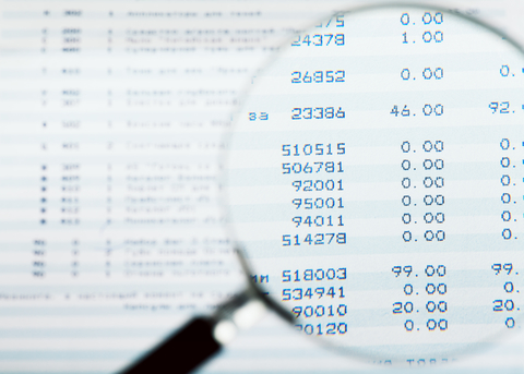 Audit magnifying (credit: AGorohov) Audit magnifying