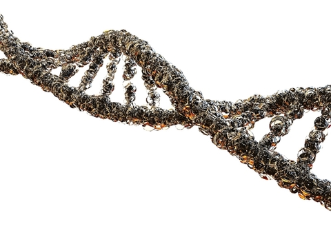 DNA DNA