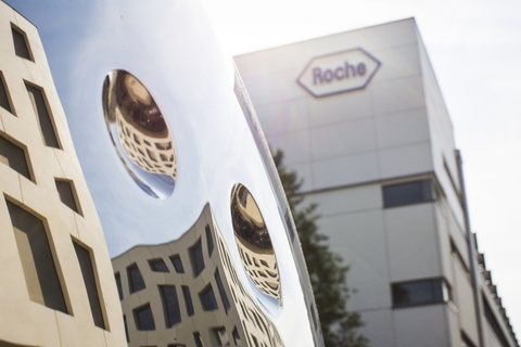 Roche Roche