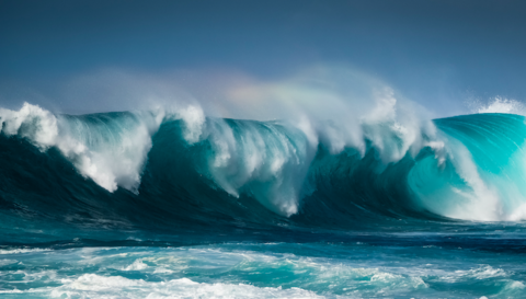 wave wave