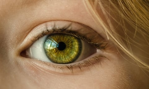 Eye Eye