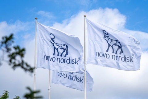Novo Nordisk flags Novo Nordisk