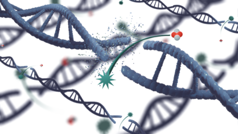 RayzeBio DNA breaking image A rendering of DNA breaking at the strand