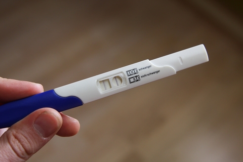 Pregnancy Test Pregnancy Test