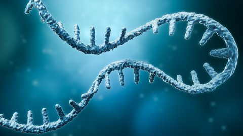 mRNA stock photo Messenger RNA