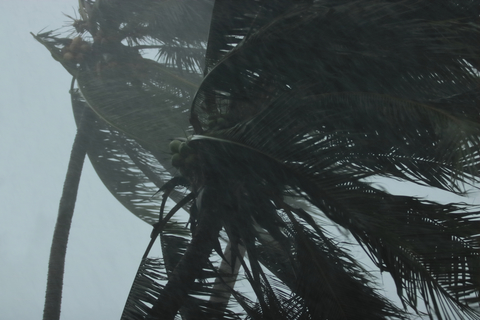 Hurricane Inclement weather and changing media landscapes gave Expedia a bumpy ride last quarter.