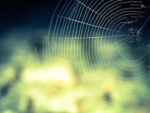 web web