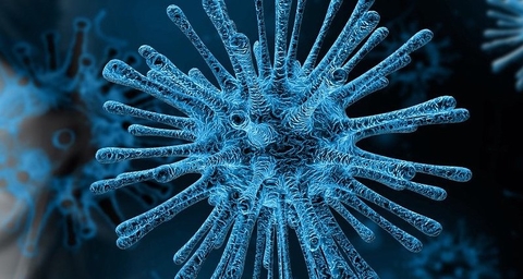 coronavirus coronavirus