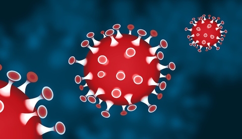 coronavirus coronavirus