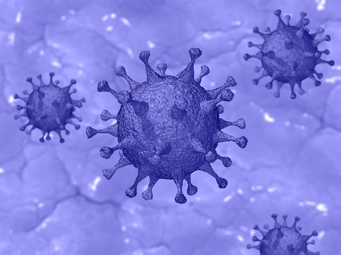 coronavirus coronavirus