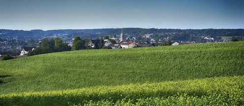 rural rural