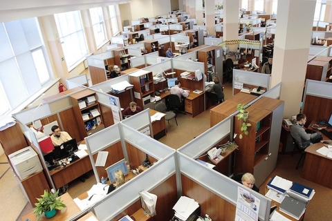 employees employees
