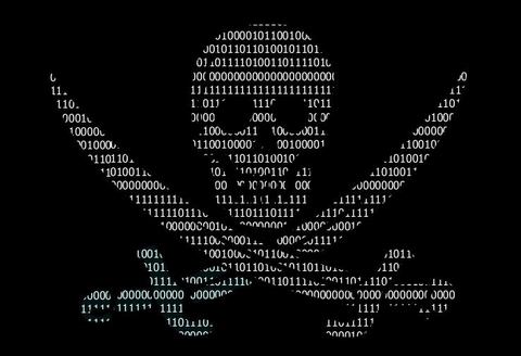 Piracy Piracy