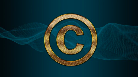 piracy piracy