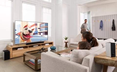 Vizio Vizio