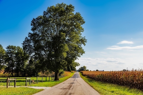 Indiana Indiana
