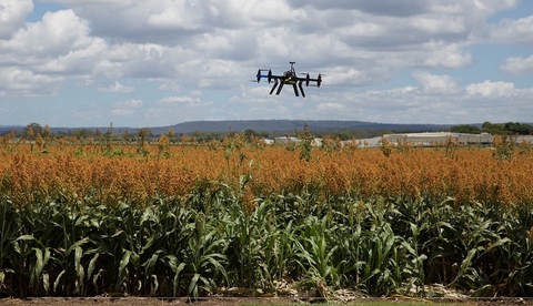 field field
