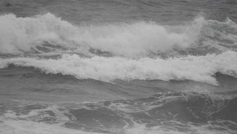 wave wave
