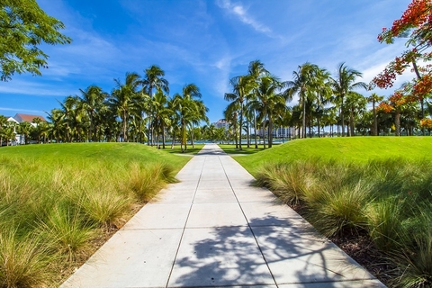 Miami Miami