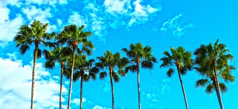Florida Florida
