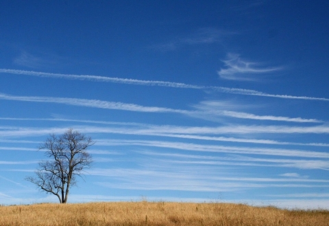 rural rural